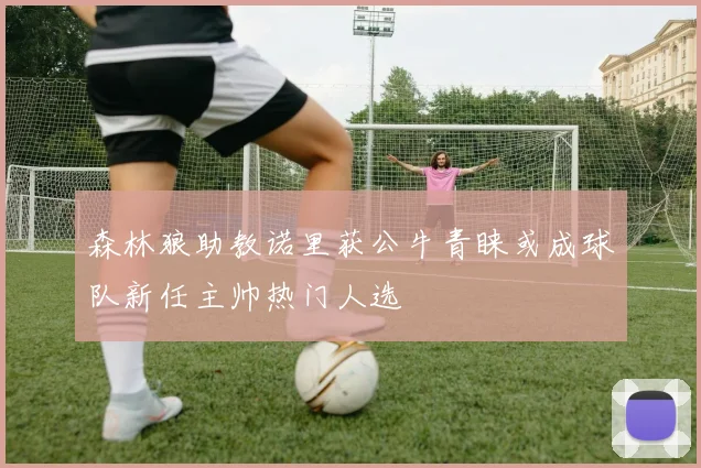森林狼助教诺里获公牛青睐或成球队新任主帅热门人选