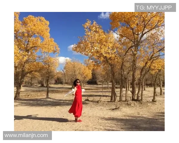 追梦西部挑战虽艰难但我们与湖船携手共创辉煌争夺冠军